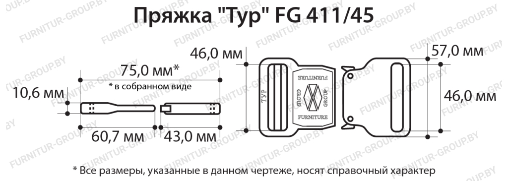 Пряжка Тур FG 41145.jpg